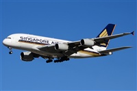 Ana L@dy Spotter. Click to see full size photo