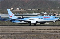 ©Alfonso Solís - Asociación Canary Islands Spotting. Click to see full size photo ©Alfonso Solís - Asociación Canary Islands Spotting. Click to see full size photo