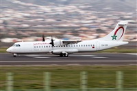 Javier de la Cruz - CANARY ISLANDS SPOTTING. Click to see full size photo