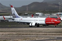 ©Alfonso Solís - Asociación Canary Islands Spotting. Click to see full size photo ©Alfonso Solís - Asociación Canary Islands Spotting. Click to see full size photo
