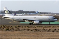 ©Adolfo Bento - Gran Canaria Spotters. Click to see full size photo ©Adolfo Bento - Gran Canaria Spotters. Click to see full size photo