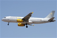 ©Alfonso Solís - Asociación Canary Islands Spotting. Click to see full size photo ©Alfonso Solís - Asociación Canary Islands Spotting. Click to see full size photo