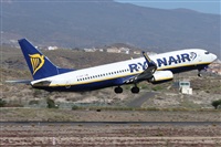 Alfonso Sols - Asociacin Canary Islands Spotting. Click to see full size photo