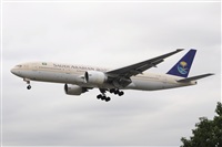 Miguel A. gueda Rguez.  (CANARY ISLANDS SPOTTING). Click to see full size photo