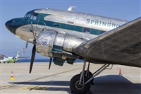 Paco Muoz Arencibia - Gran Canaria Spotters. Click to see full size photo