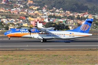 Nacho Rodriguez - Canary Islands Spotting. Click to see full size photo