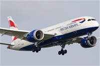 Rubn Gil - Noisy Spotters. Click to see full size photo