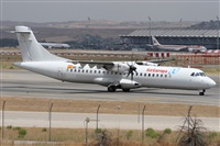 ©Alfonso Solís - Asociación Canary Islands Spotting. Click to see full size photo ©Alfonso Solís - Asociación Canary Islands Spotting. Click to see full size photo