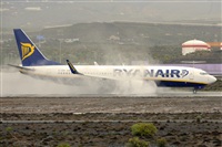 Miguel A. gueda Rguez.  (CANARY ISLANDS SPOTTING). Click to see full size photo