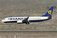 Alfonso Sols - Asociacin Canary Islands Spotting. Click to see full size photo
