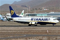 ©Alfonso Solís - Asociación Canary Islands Spotting. Click to see full size photo ©Alfonso Solís - Asociación Canary Islands Spotting. Click to see full size photo