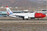 ©Alfonso Solís - Asociación Canary Islands Spotting. Click to see full size photo ©Alfonso Solís - Asociación Canary Islands Spotting. Click to see full size photo