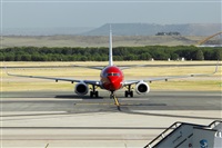 Nacho Rodriguez - Canary Islands Spotting. Click to see full size photo