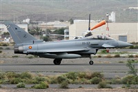 Alfonso Sols - Asociacin Canary Islands Spotting. Click to see full size photo