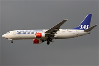 ©Alfonso Solís - Asociación Canary Islands Spotting. Click to see full size photo ©Alfonso Solís - Asociación Canary Islands Spotting. Click to see full size photo