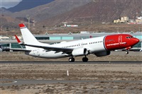 Alfonso Sols - Asociacin Canary Islands Spotting. Click to see full size photo