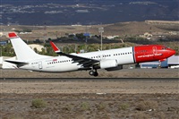 Alfonso Sols - Asociacin Canary Islands Spotting. Haz click para ampliar