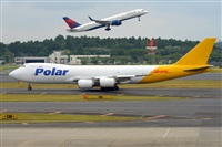 Miguel A. gueda Rguez.  (CANARY ISLANDS SPOTTING). Haz click para ampliar
