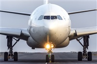 ©Daniel Santos Batista - Canary Islands Spotting. Click to see full size photo ©Daniel Santos Batista - Canary Islands Spotting. Click to see full size photo