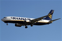 Alfonso Sols - Asociacin Canary Islands Spotting. Haz click para ampliar