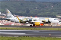 Nacho Rodriguez - Canary Islands Spotting. Click to see full size photo