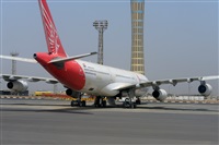 Miguel A. gueda Rguez.  (CANARY ISLANDS SPOTTING). Haz click para ampliar