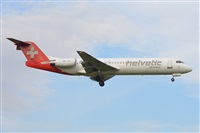 Miguel A. gueda Rguez.  (CANARY ISLANDS SPOTTING). Click to see full size photo