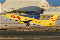 ©Adolfo Bento - Gran Canaria Spotters. Click to see full size photo ©Adolfo Bento - Gran Canaria Spotters. Click to see full size photo