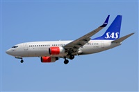 Miguel A. gueda Rguez.  (CANARY ISLANDS SPOTTING). Haz click para ampliar