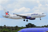 Miguel A. gueda Rguez.  (CANARY ISLANDS SPOTTING). Haz click para ampliar