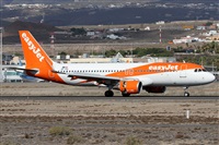 ©Alfonso Solís - Asociación Canary Islands Spotting. Click to see full size photo ©Alfonso Solís - Asociación Canary Islands Spotting. Click to see full size photo