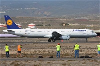 Miguel A. gueda Rguez.  (CANARY ISLANDS SPOTTING). Click to see full size photo