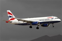 Alfonso Sols - Asociacin Canary Islands Spotting. Haz click para ampliar