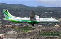 ©Luis Rguez - La Palma Spotting. Click to see full size photo ©Luis Rguez - La Palma Spotting. Click to see full size photo