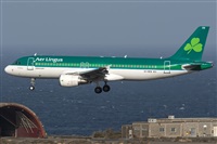 Adolfo Bento - Gran Canaria Spotters. Haz click para ampliar