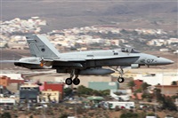 Alfonso Sols - Asociacin Canary Islands Spotting. Click to see full size photo