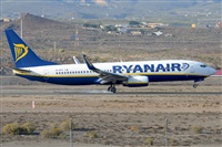 Miguel A. gueda Rguez.  (CANARY ISLANDS SPOTTING). Haz click para ampliar