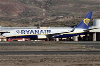 ©Alfonso Solís - Asociación Canary Islands Spotting. Click to see full size photo ©Alfonso Solís - Asociación Canary Islands Spotting. Click to see full size photo
