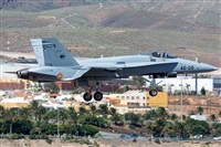 Adolfo Bento - Gran Canaria Spotters. Click to see full size photo