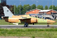 La Roche Spotters. Click to see full size photo