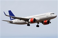©Alfonso Solís - Asociación Canary Islands Spotting. Click to see full size photo ©Alfonso Solís - Asociación Canary Islands Spotting. Click to see full size photo