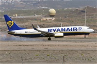 Miguel A. gueda Rguez.  (CANARY ISLANDS SPOTTING). Click to see full size photo