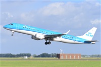 Miguel A. gueda Rguez.  (CANARY ISLANDS SPOTTING). Click to see full size photo