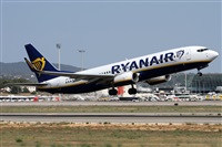 Alfonso Sols - Asociacin Canary Islands Spotting. Click to see full size photo