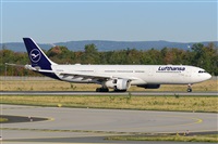 Miguel A. gueda Rguez.  (CANARY ISLANDS SPOTTING). Click to see full size photo