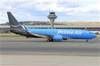 Miguel A. gueda Rguez.  (CANARY ISLANDS SPOTTING). Click to see full size photo
