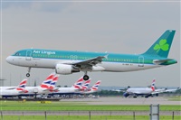 Miguel A. gueda Rguez.  (CANARY ISLANDS SPOTTING). Click to see full size photo