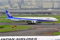 Miguel A. gueda Rguez.  (CANARY ISLANDS SPOTTING). Click to see full size photo