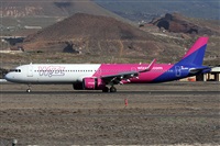 ©Alfonso Solís - Asociación Canary Islands Spotting. Click to see full size photo ©Alfonso Solís - Asociación Canary Islands Spotting. Click to see full size photo