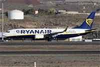 Alfonso Sols - Asociacin Canary Islands Spotting. Click to see full size photo
